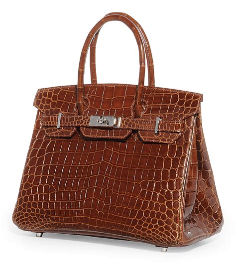 hermes moreletii crocodile|hermes crocodile bags for sale.